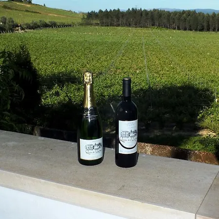 乡村民宿 Quinta De São Lourenço